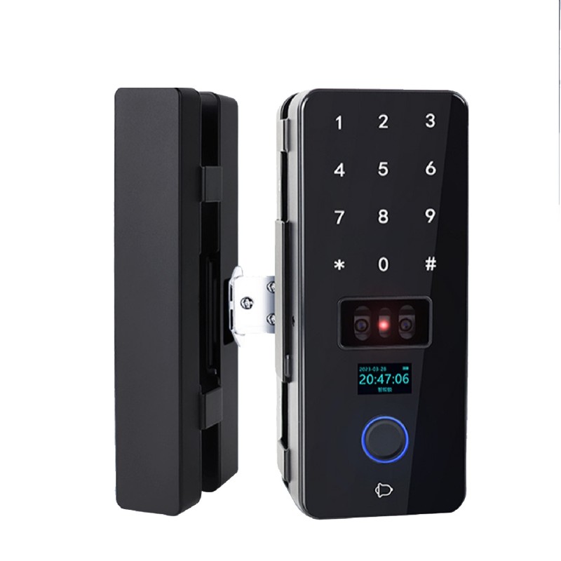 Glass Door-SIB-Faceprint GL209A Smart Lock